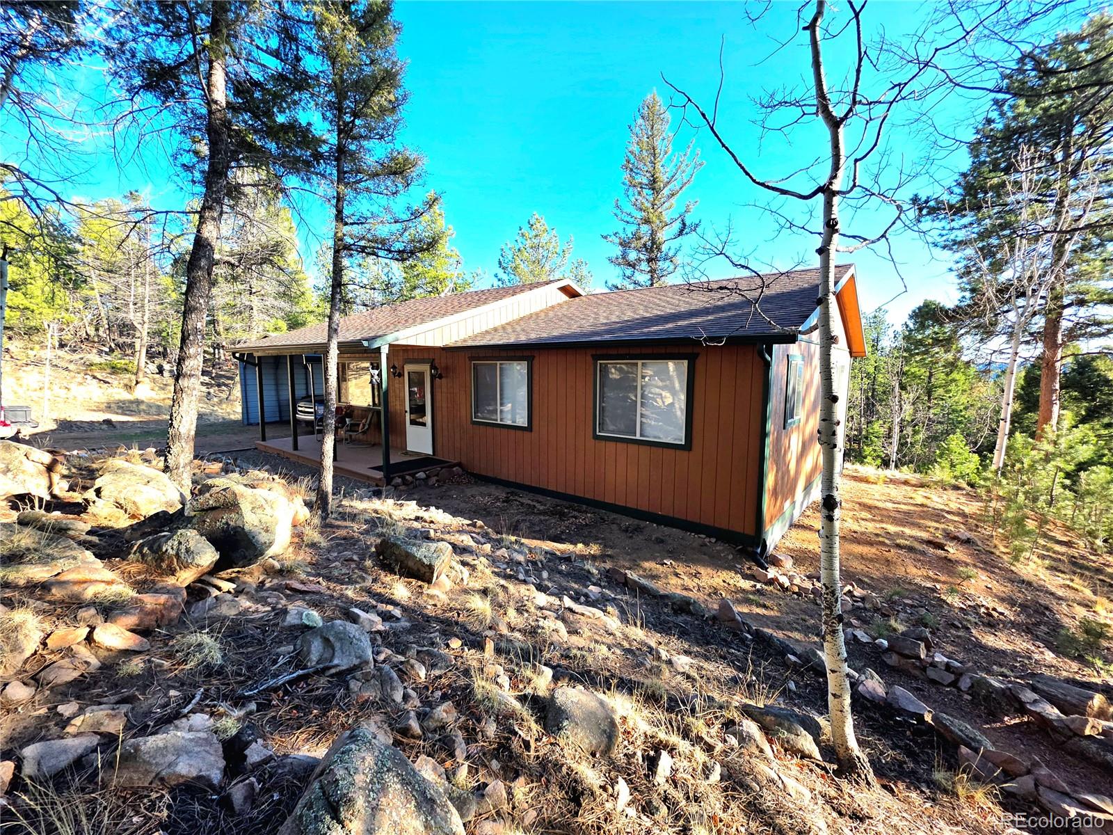 2063 Vagabond Creek Drive Lake George CO 80827