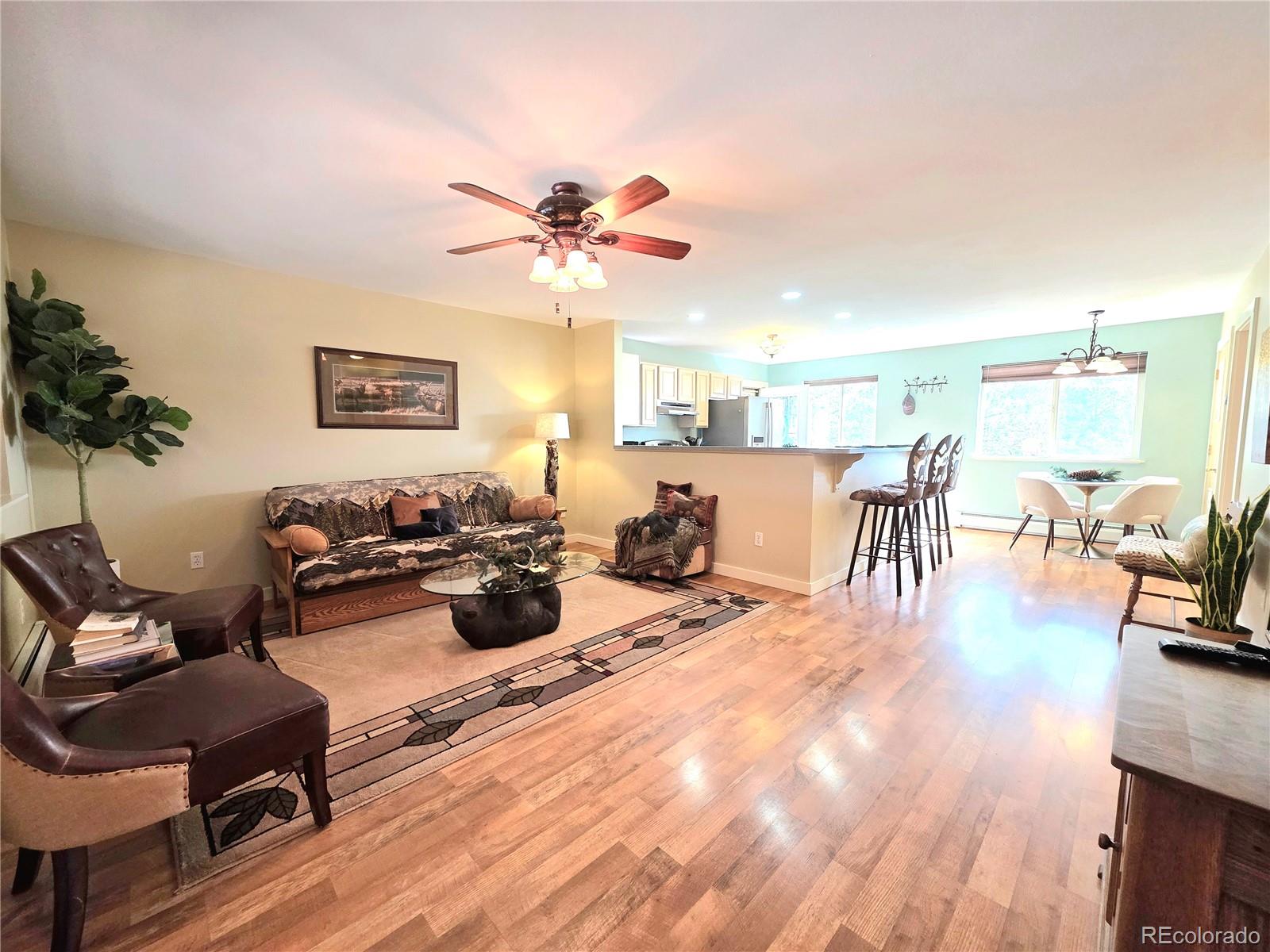 2063 Vagabond Creek Drive Lake George CO 80827