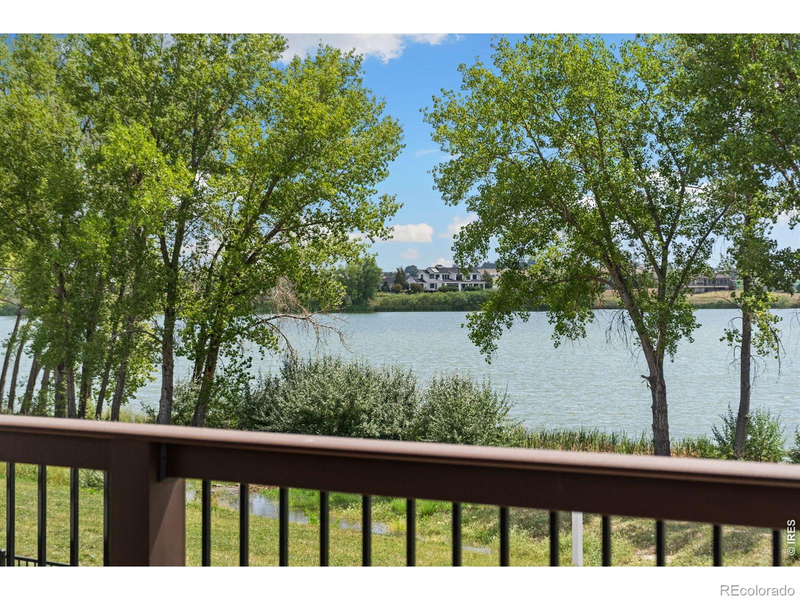 3324 Fox Crossing Place Loveland CO 80537