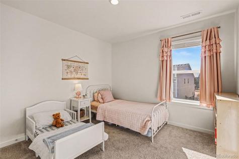 2315 Coyote Mint Drive Monument CO 80132