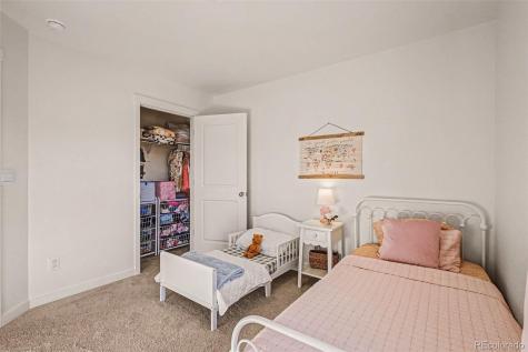 2315 Coyote Mint Drive Monument CO 80132