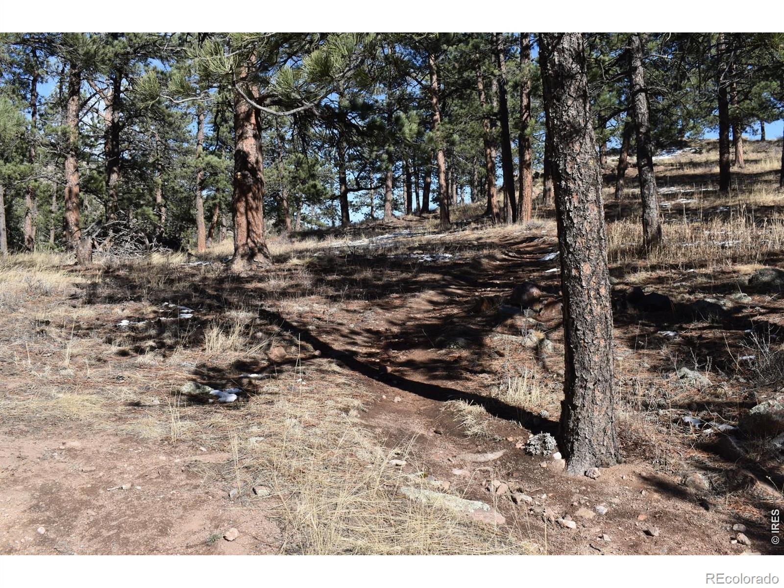 1477 Kiowa Road Lyons CO 80540