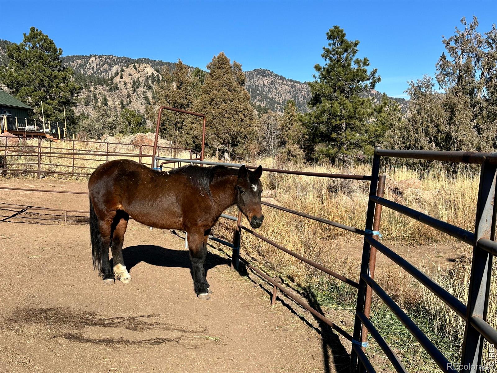 123 Mohawk Road Lyons CO 80540
