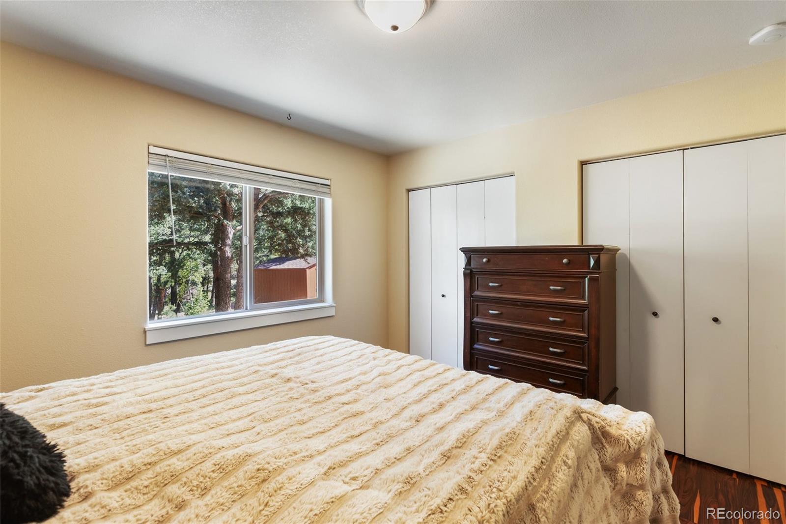 234 Wasatch Lane Florissant CO 80816