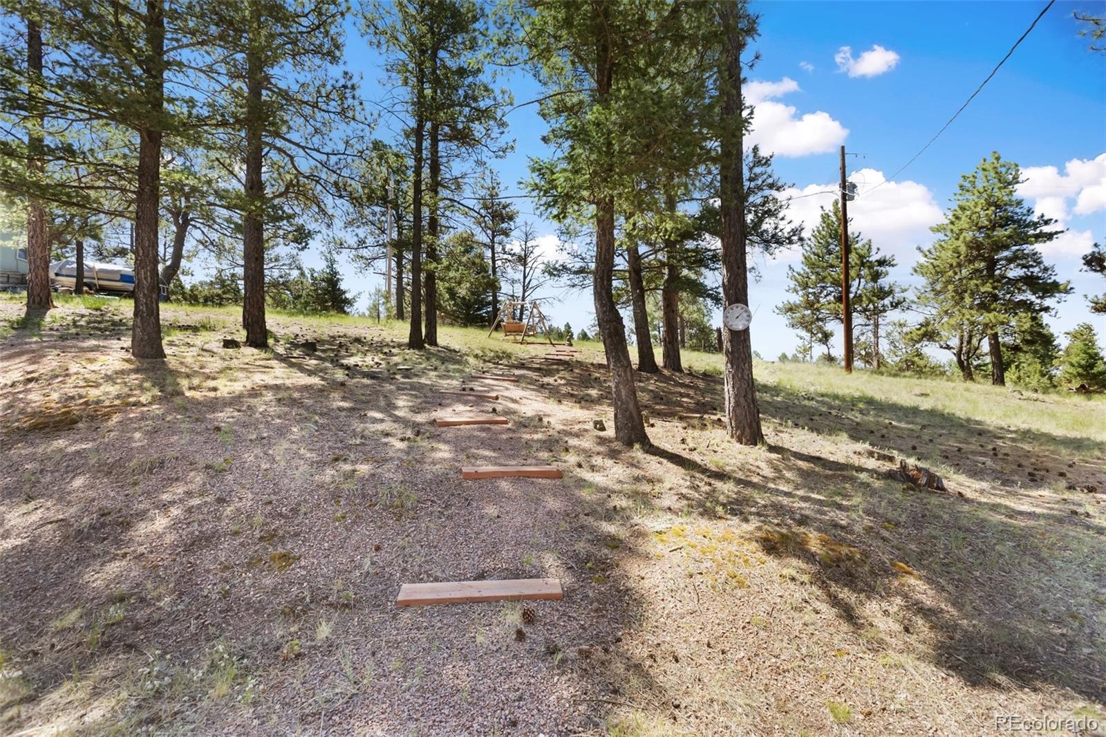 234 Wasatch Lane Florissant CO 80816