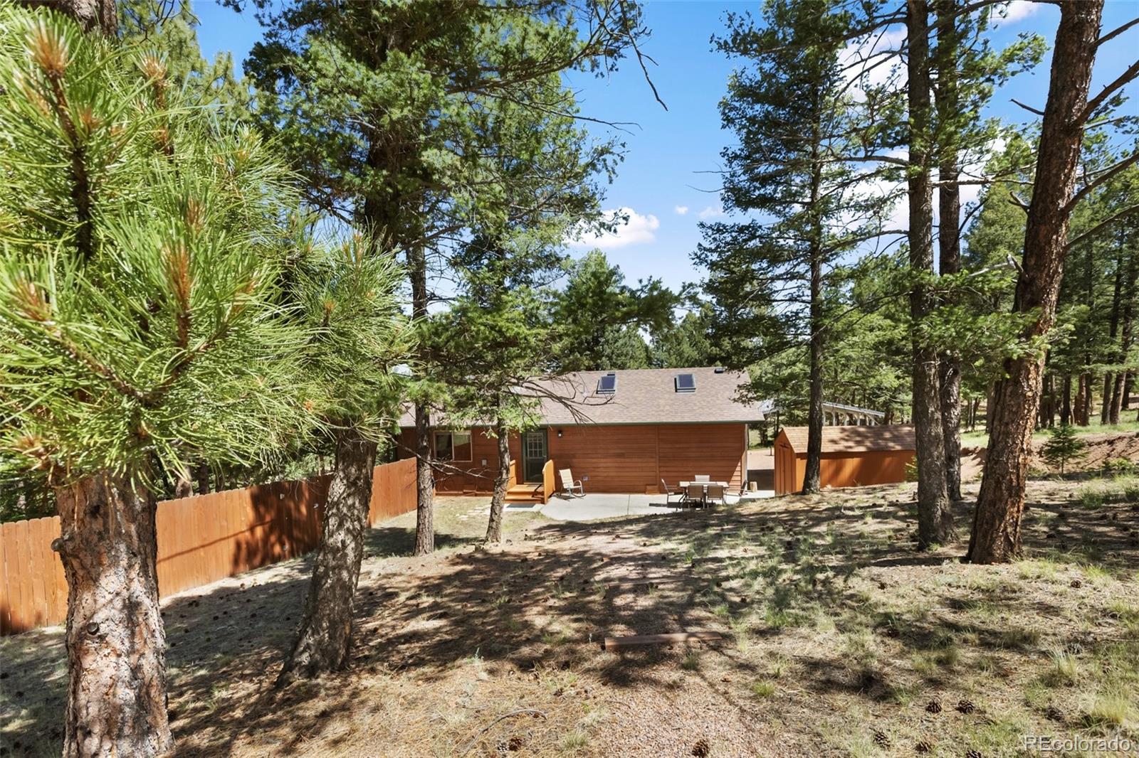 234 Wasatch Lane Florissant CO 80816