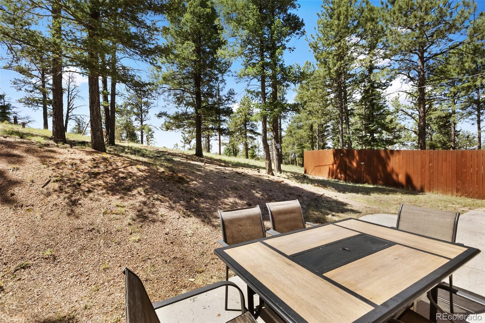 234 Wasatch Lane Florissant CO 80816
