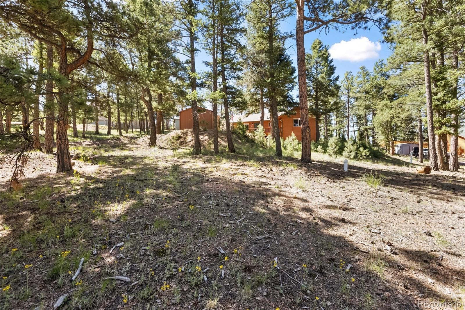 234 Wasatch Lane Florissant CO 80816