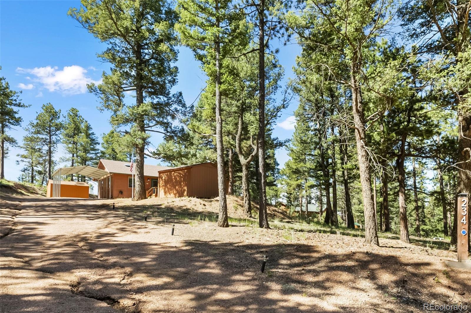 234 Wasatch Lane Florissant CO 80816