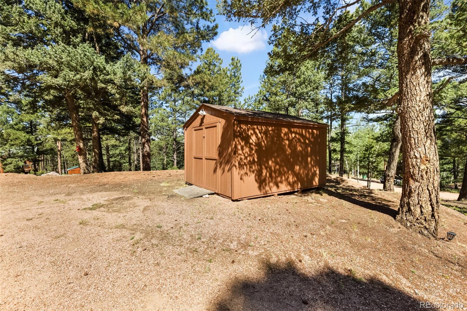 234 Wasatch Lane Florissant CO 80816