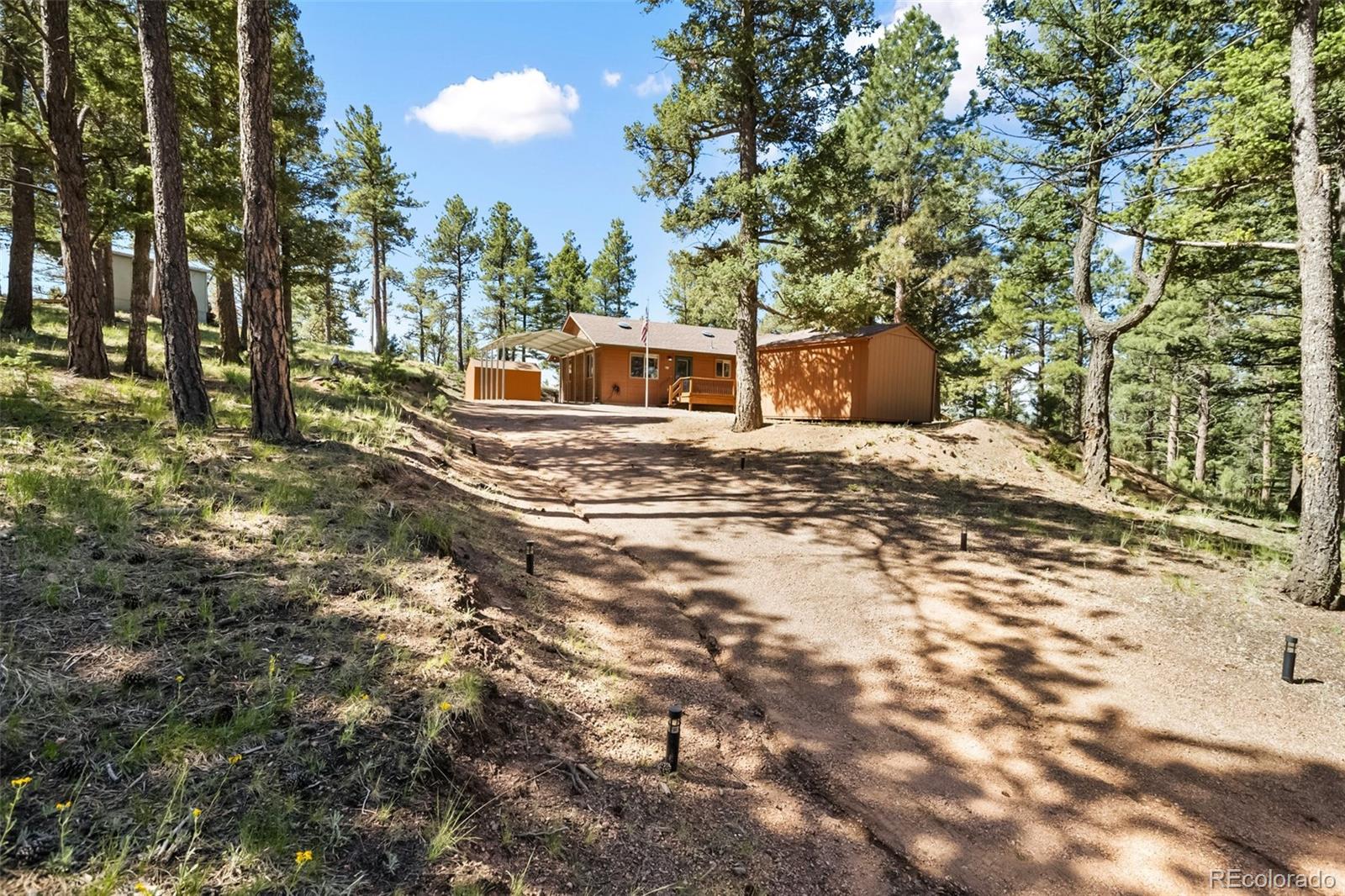 234 Wasatch Lane Florissant CO 80816