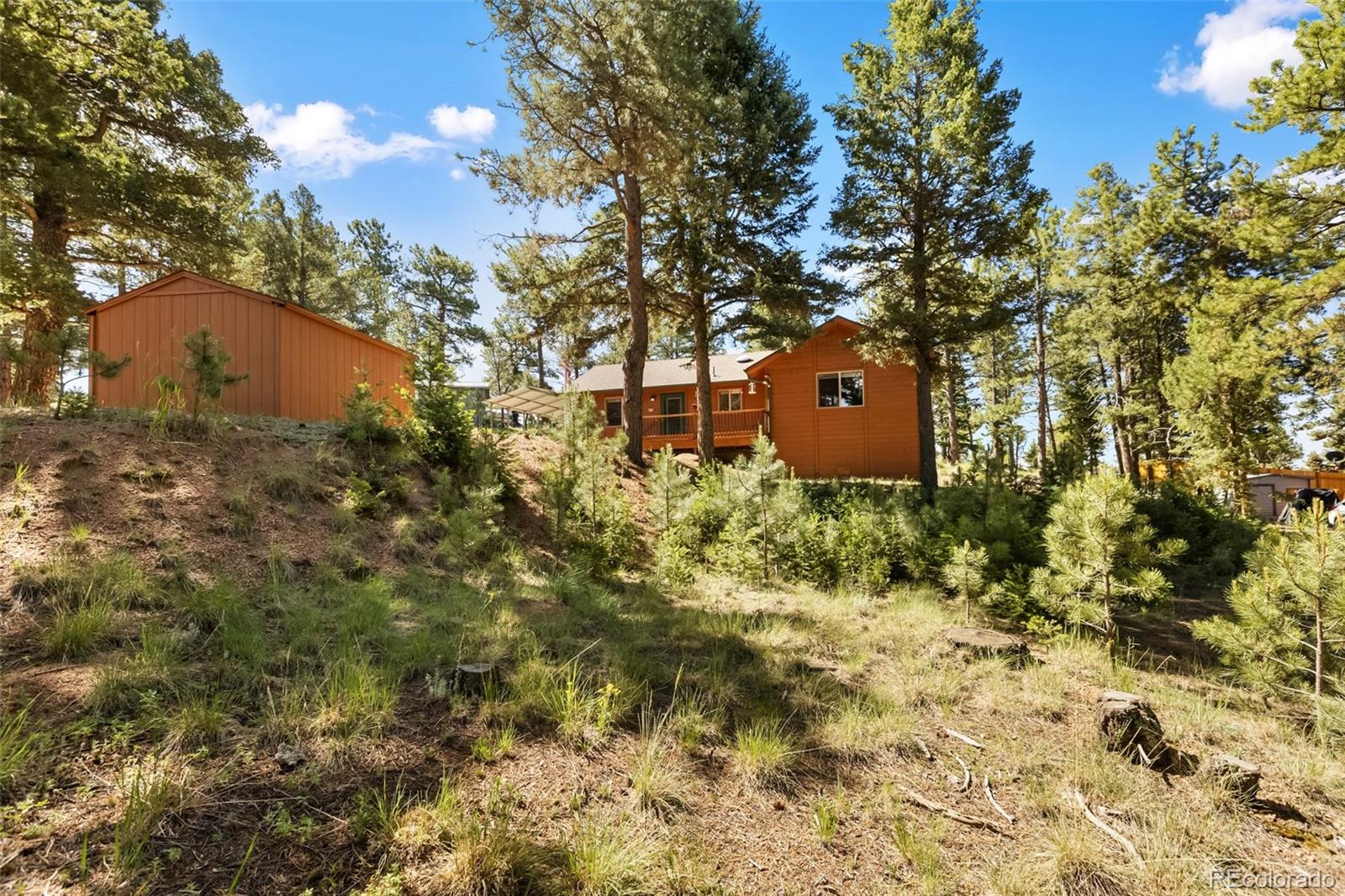 234 Wasatch Lane Florissant CO 80816