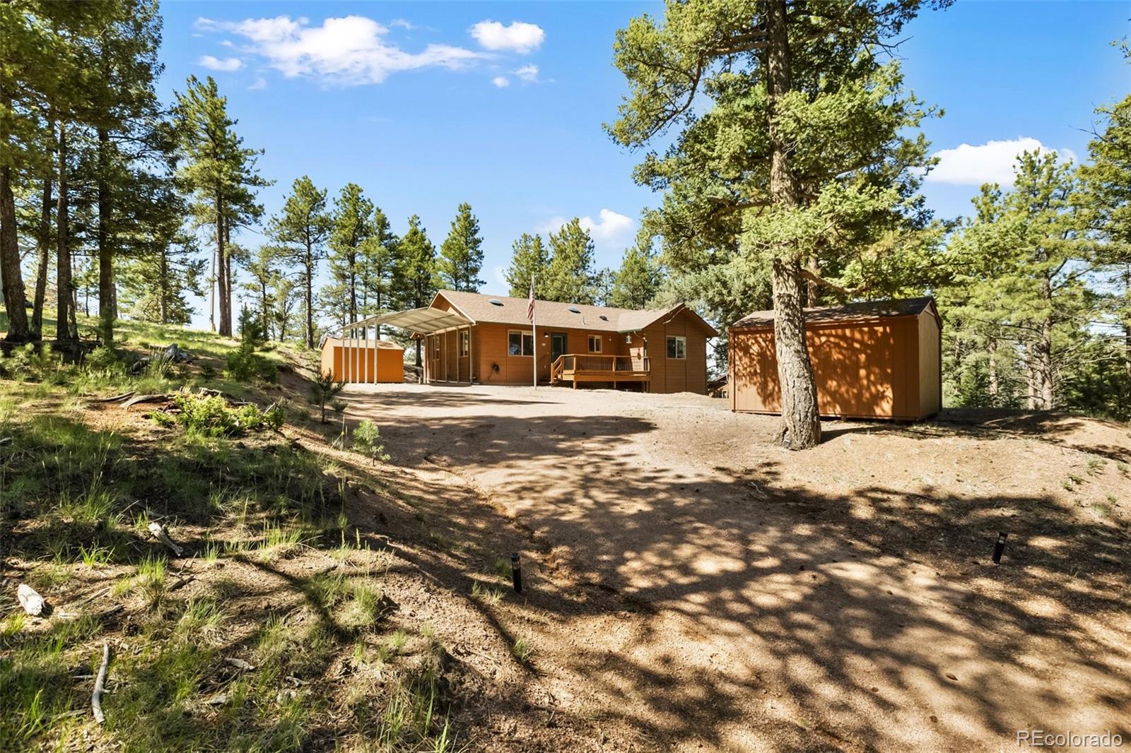 234 Wasatch Lane Florissant CO 80816