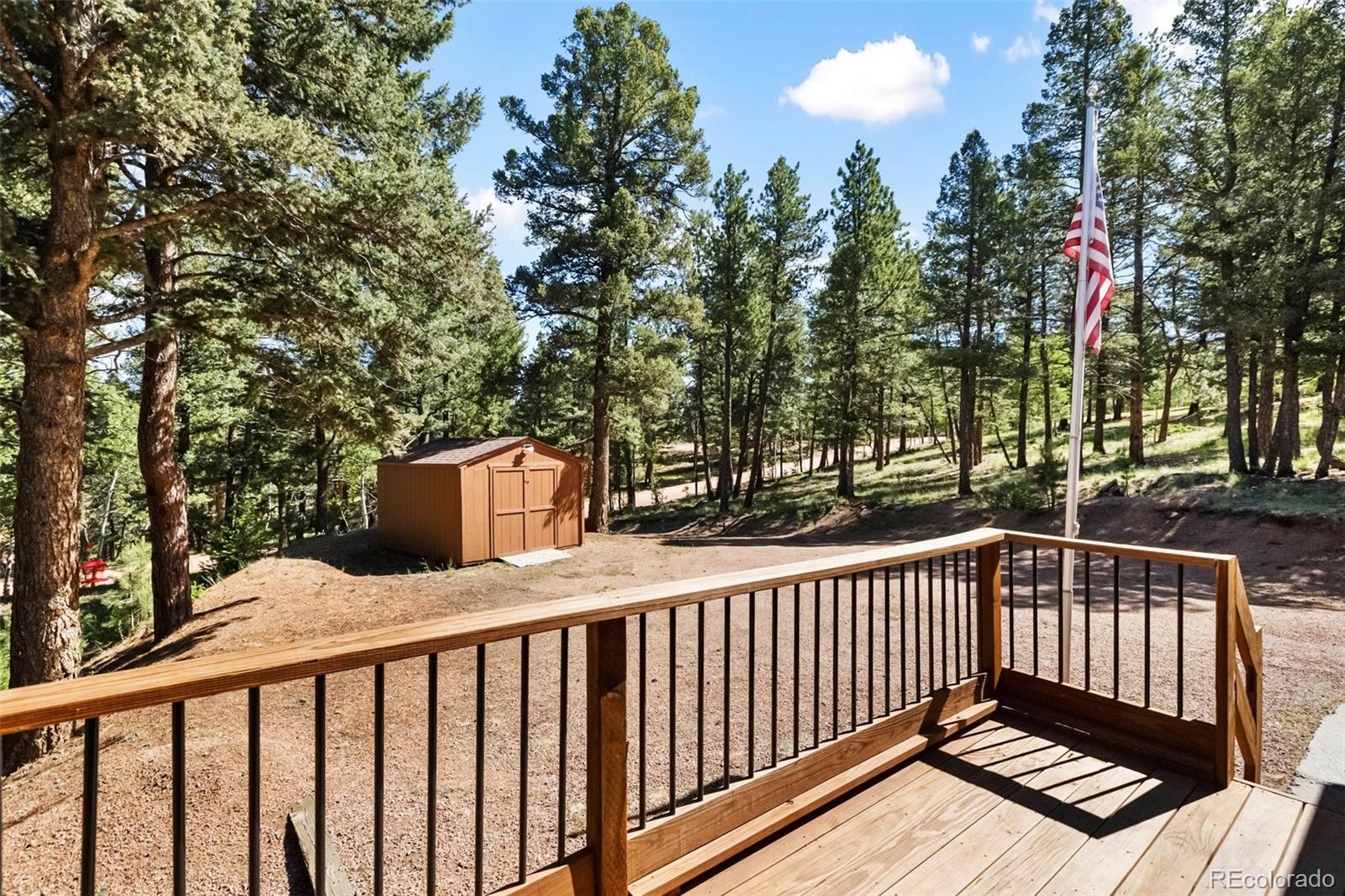 234 Wasatch Lane Florissant CO 80816