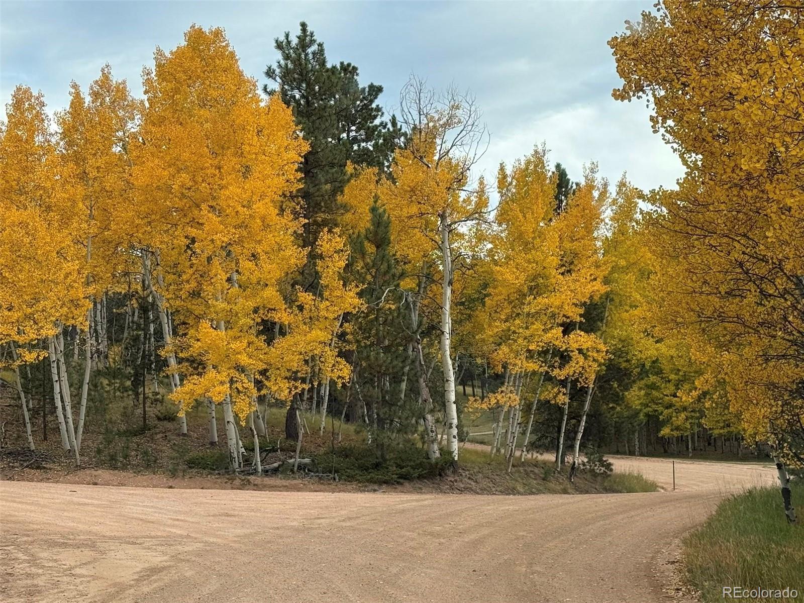 234 Wasatch Lane Florissant CO 80816