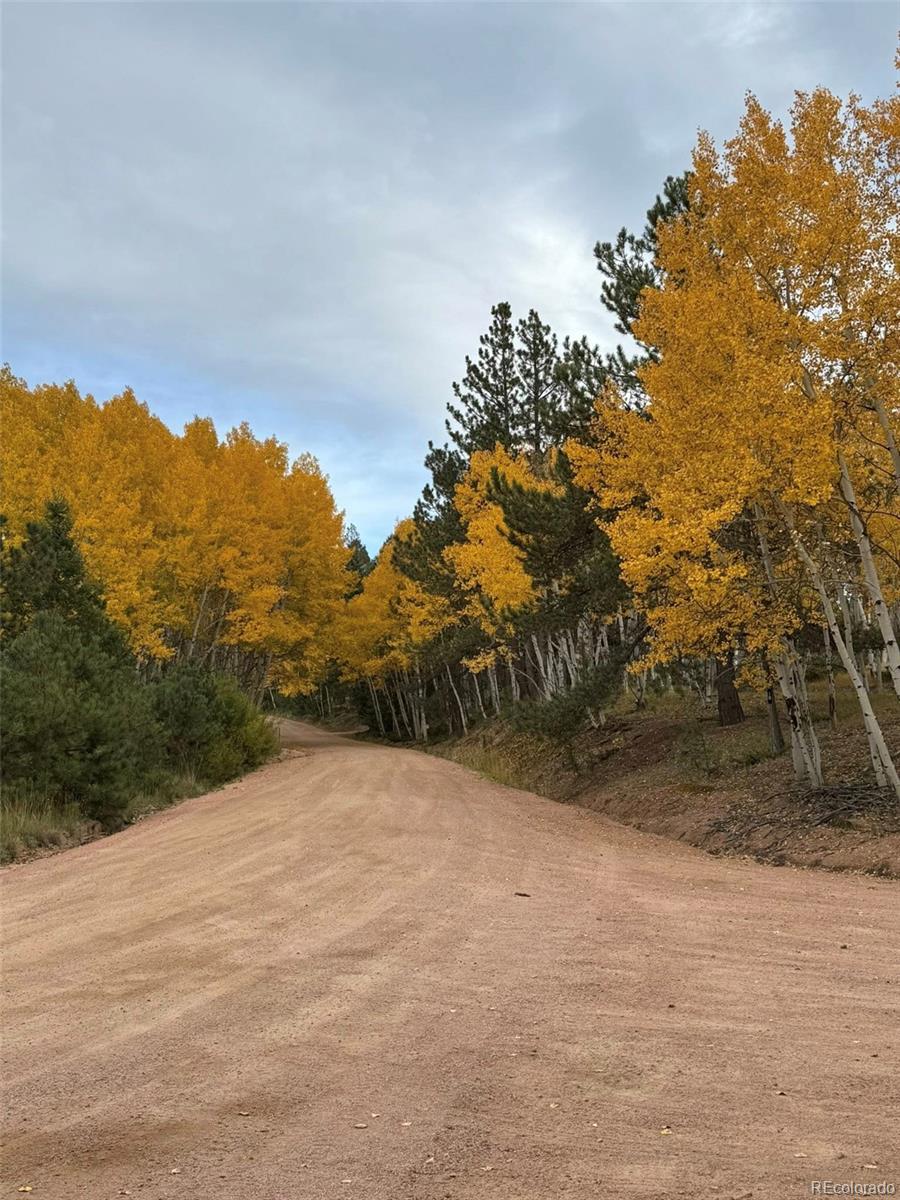 234 Wasatch Lane Florissant CO 80816