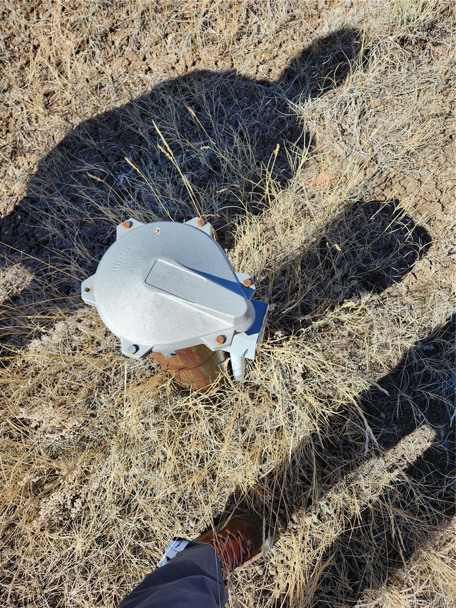 973 Conejos Trails Antonito CO 81120