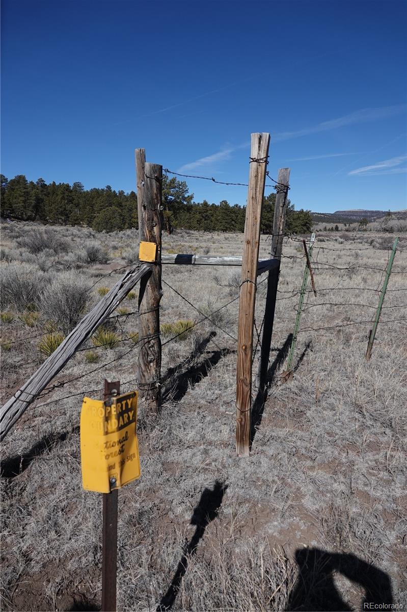 973 Conejos Trails Antonito CO 81120