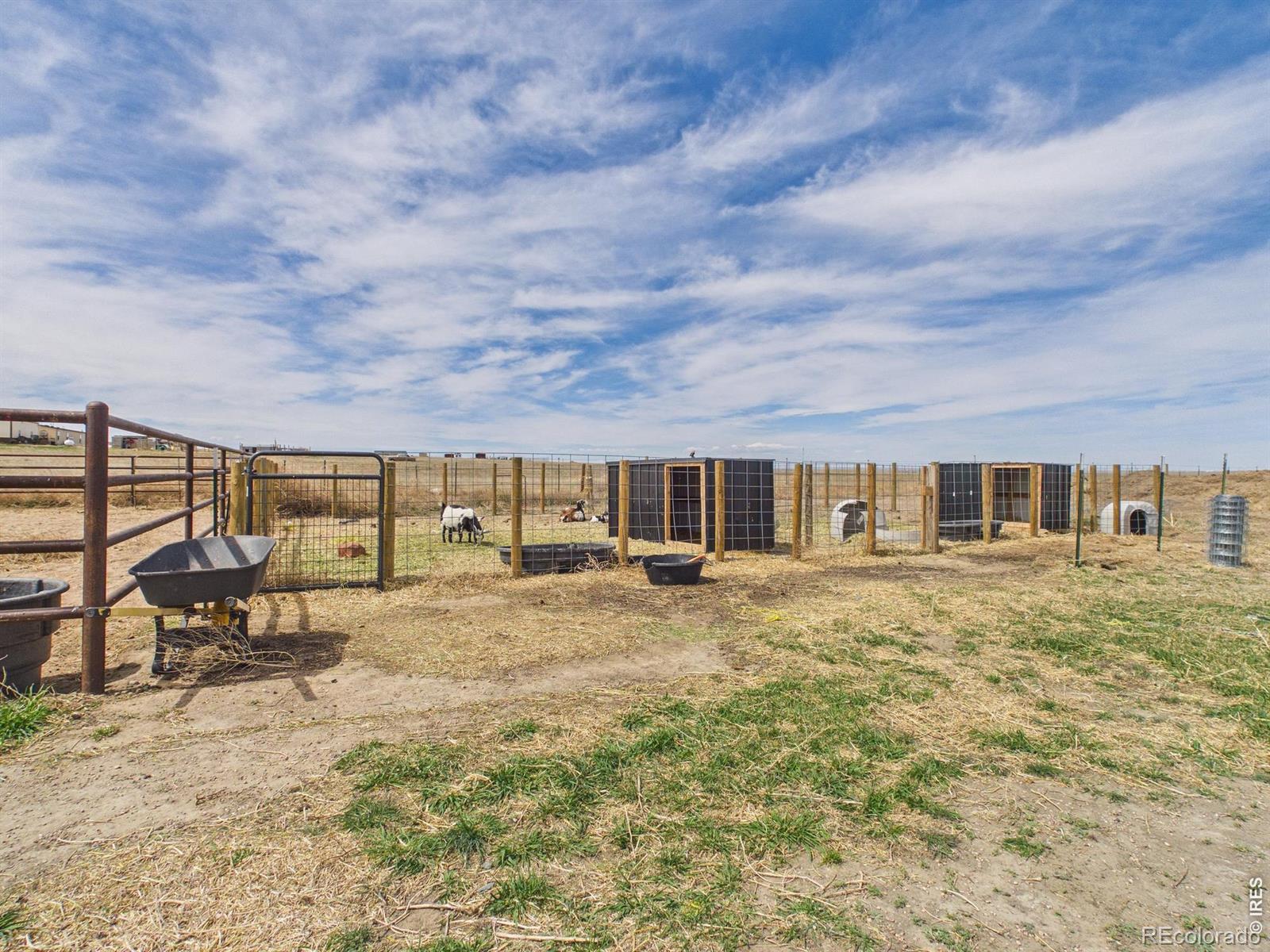 41227 County Road 84 Briggsdale CO 80611