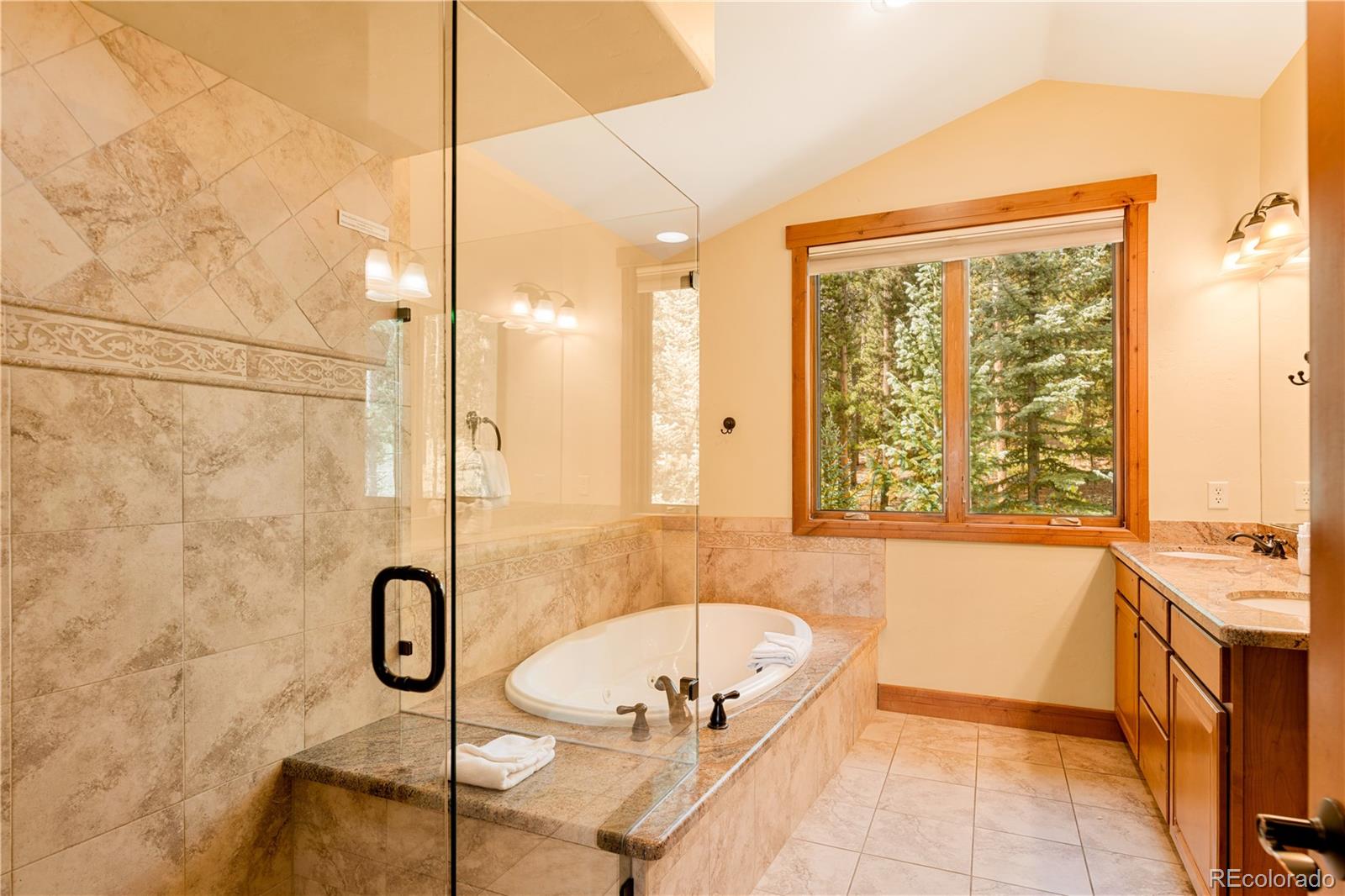 91 Snowshoe Circle Breckenridge CO 80424