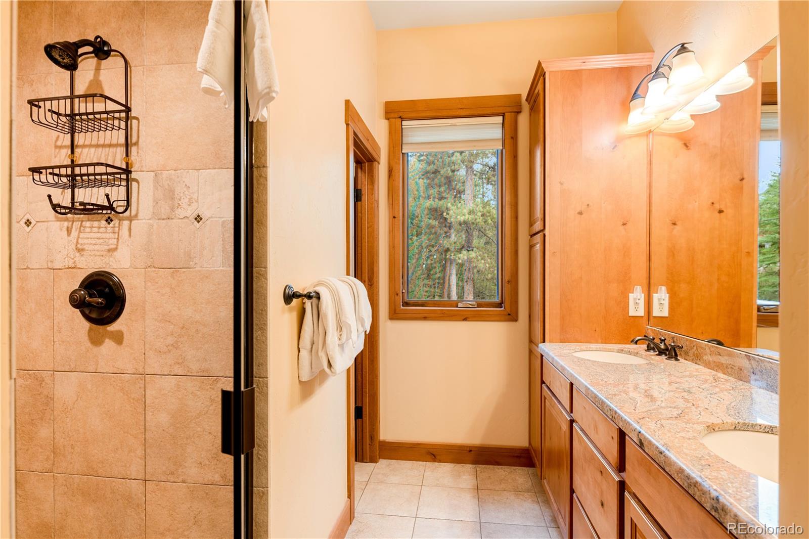 91 Snowshoe Circle Breckenridge CO 80424