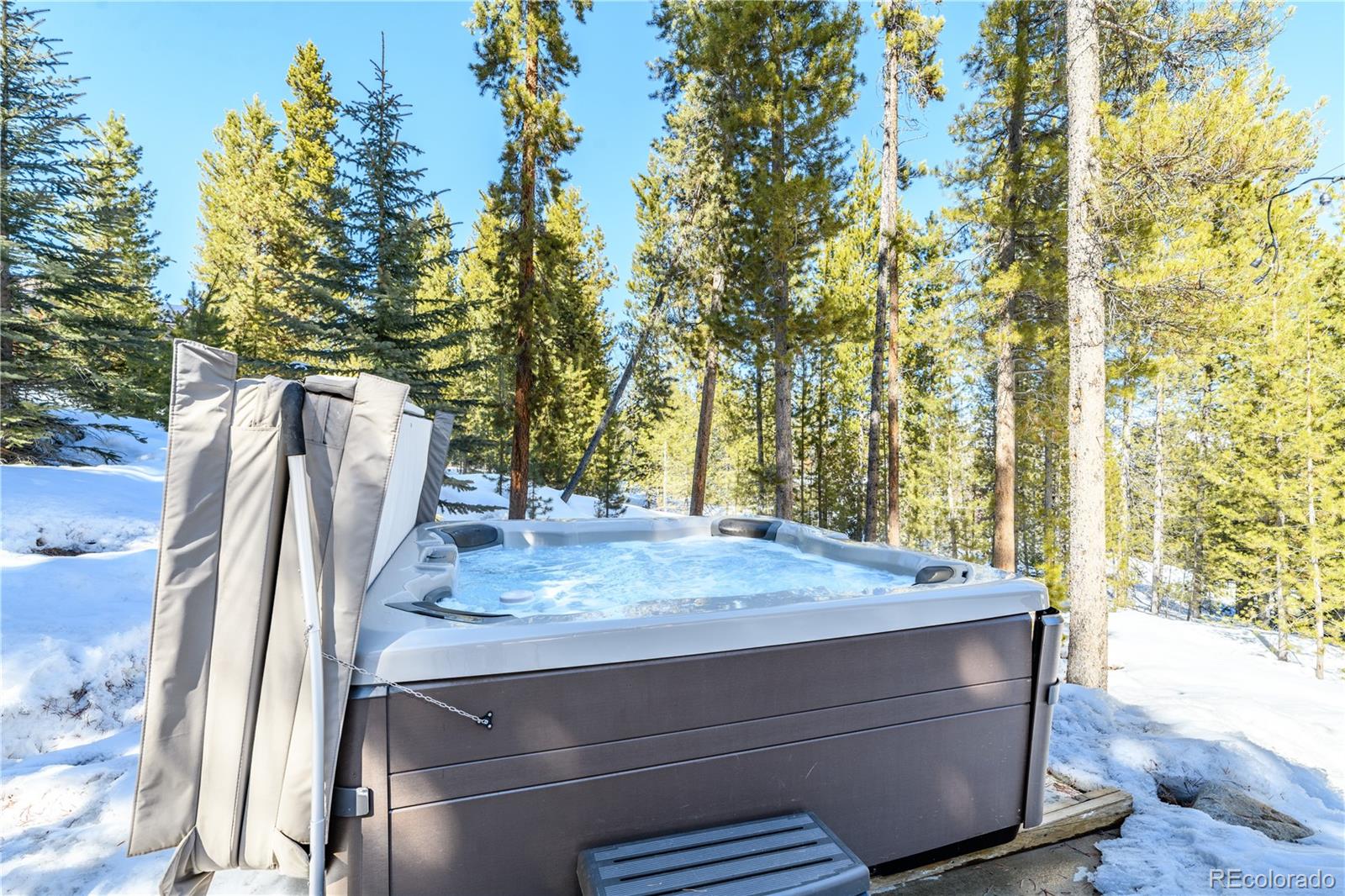 91 Snowshoe Circle Breckenridge CO 80424