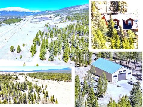 93 Placer Drive Alma CO 80420