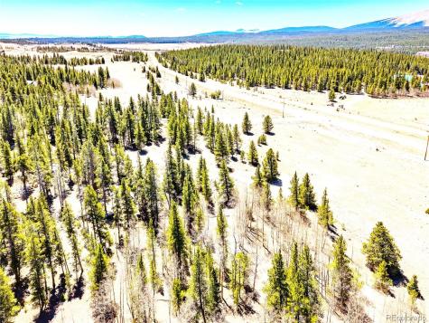 93 Placer Drive Alma CO 80420