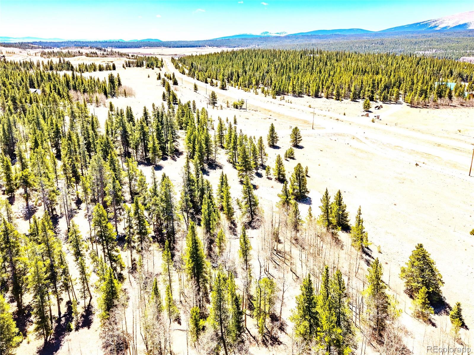 93 Placer Drive Alma CO 80420