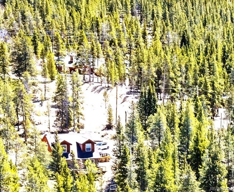 93 Placer Drive Alma CO 80420