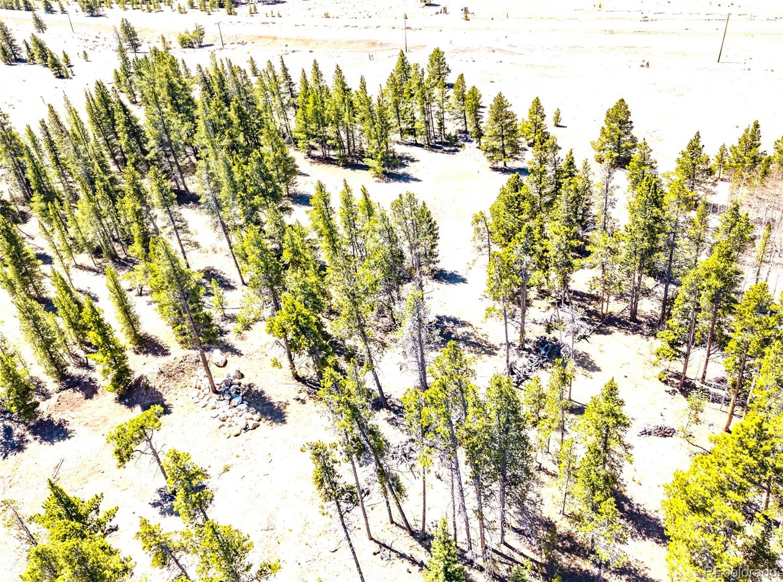 93 Placer Drive Alma CO 80420