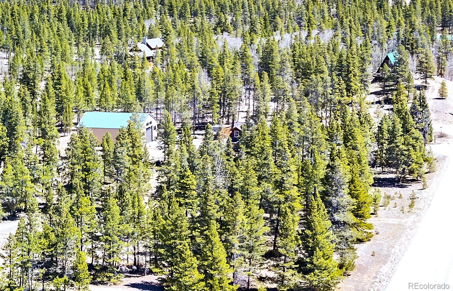 93 Placer Drive Alma CO 80420