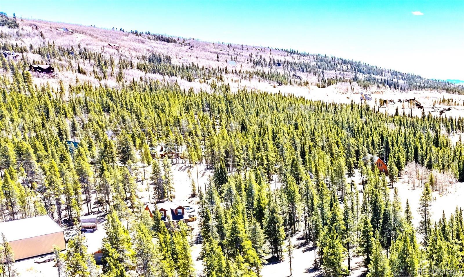 93 Placer Drive Alma CO 80420