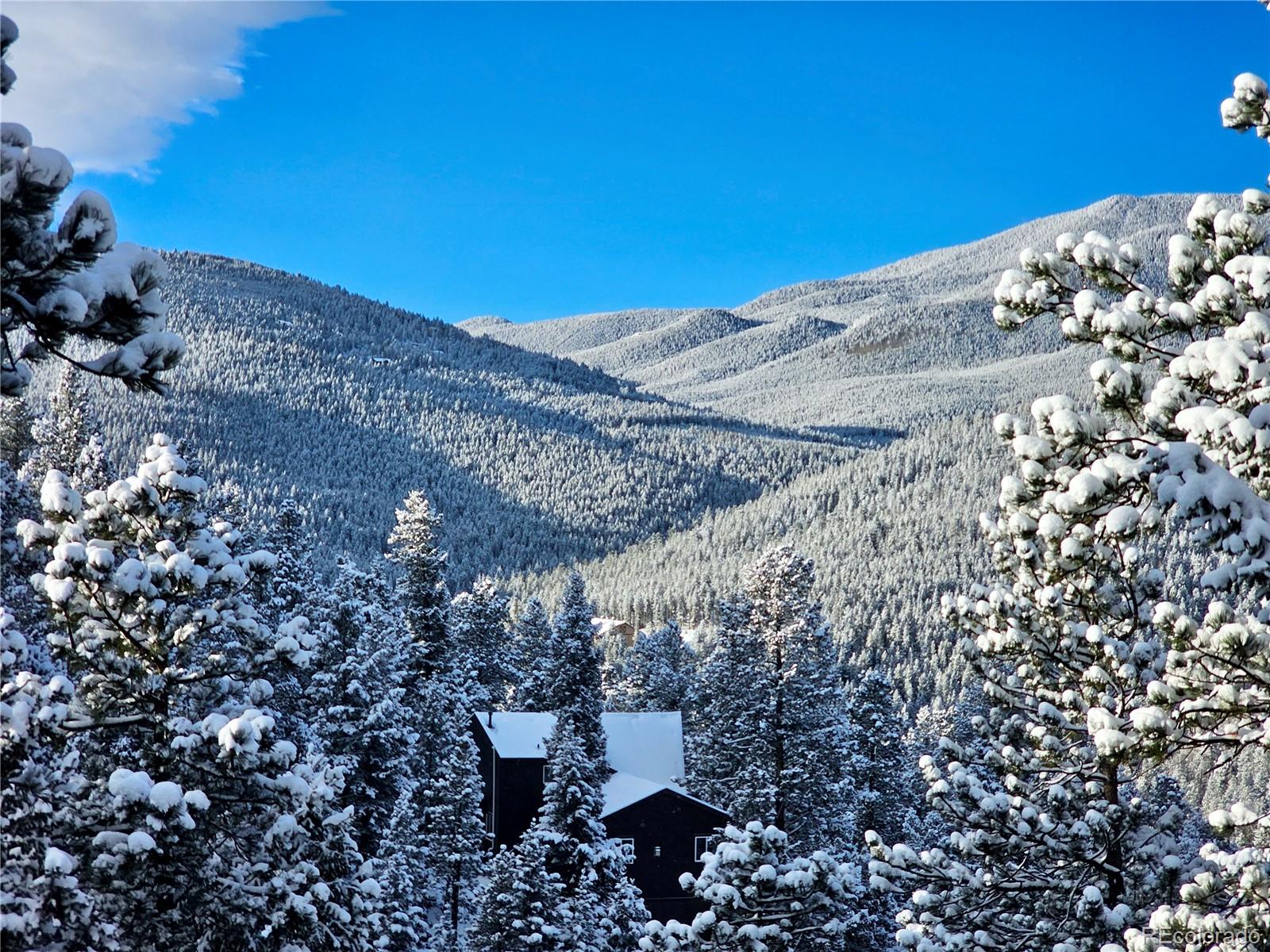 32783 Lodgepole Circle Evergreen CO 80439
