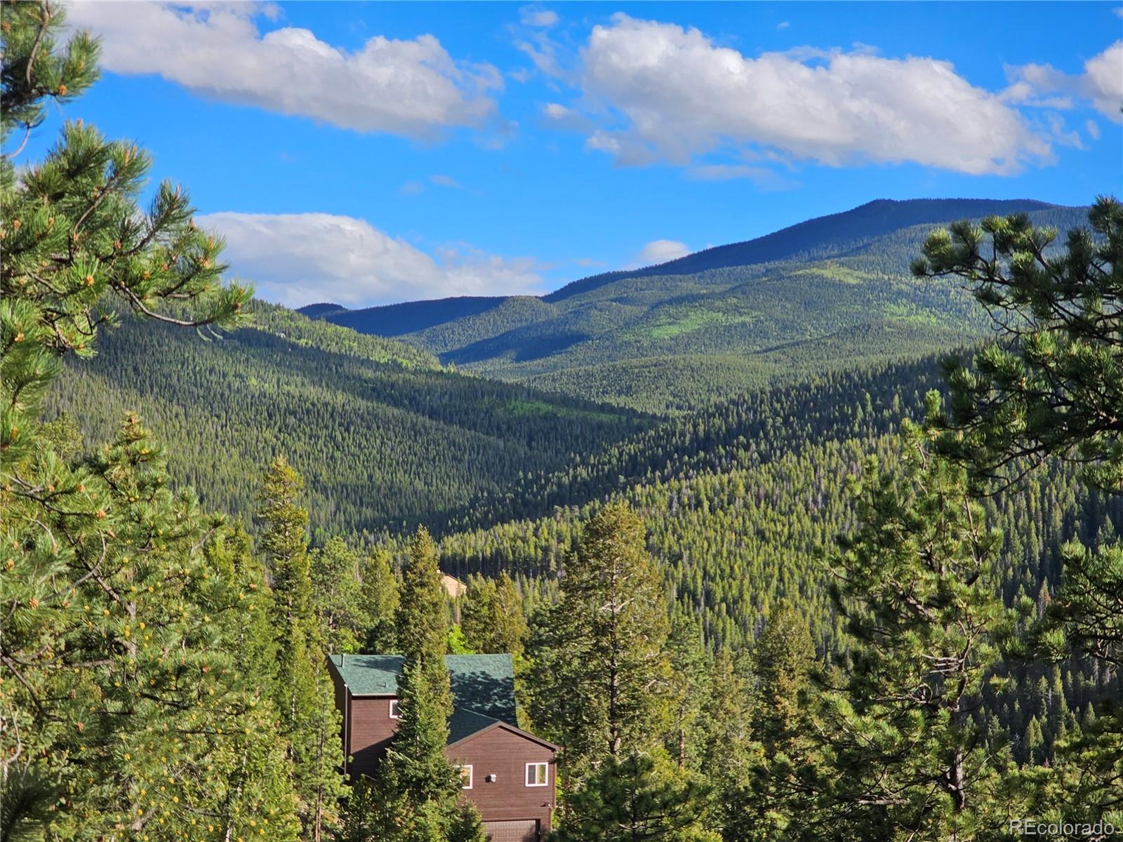 32783 Lodgepole Circle Evergreen CO 80439