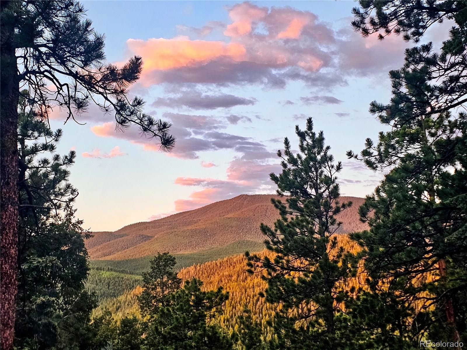 32783 Lodgepole Circle Evergreen CO 80439