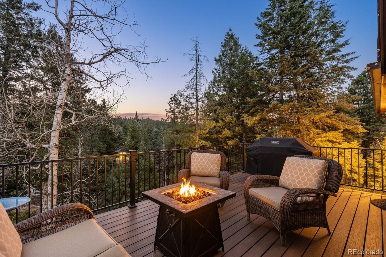 19184 Silver Ranch Road Conifer CO 80433