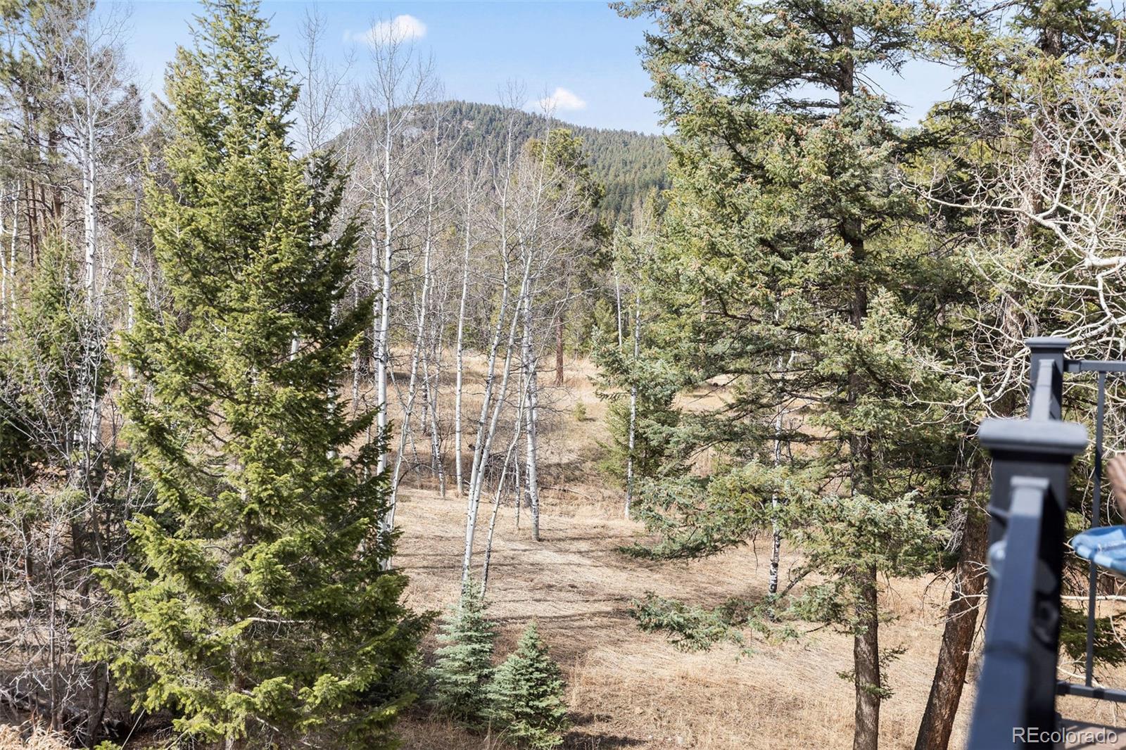 19184 Silver Ranch Road Conifer CO 80433
