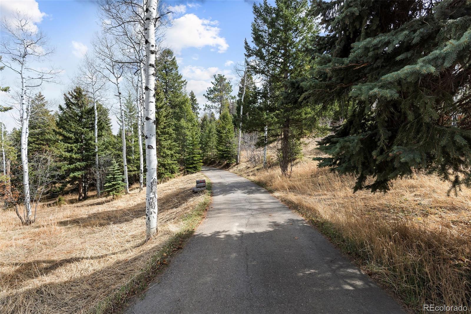 19184 Silver Ranch Road Conifer CO 80433