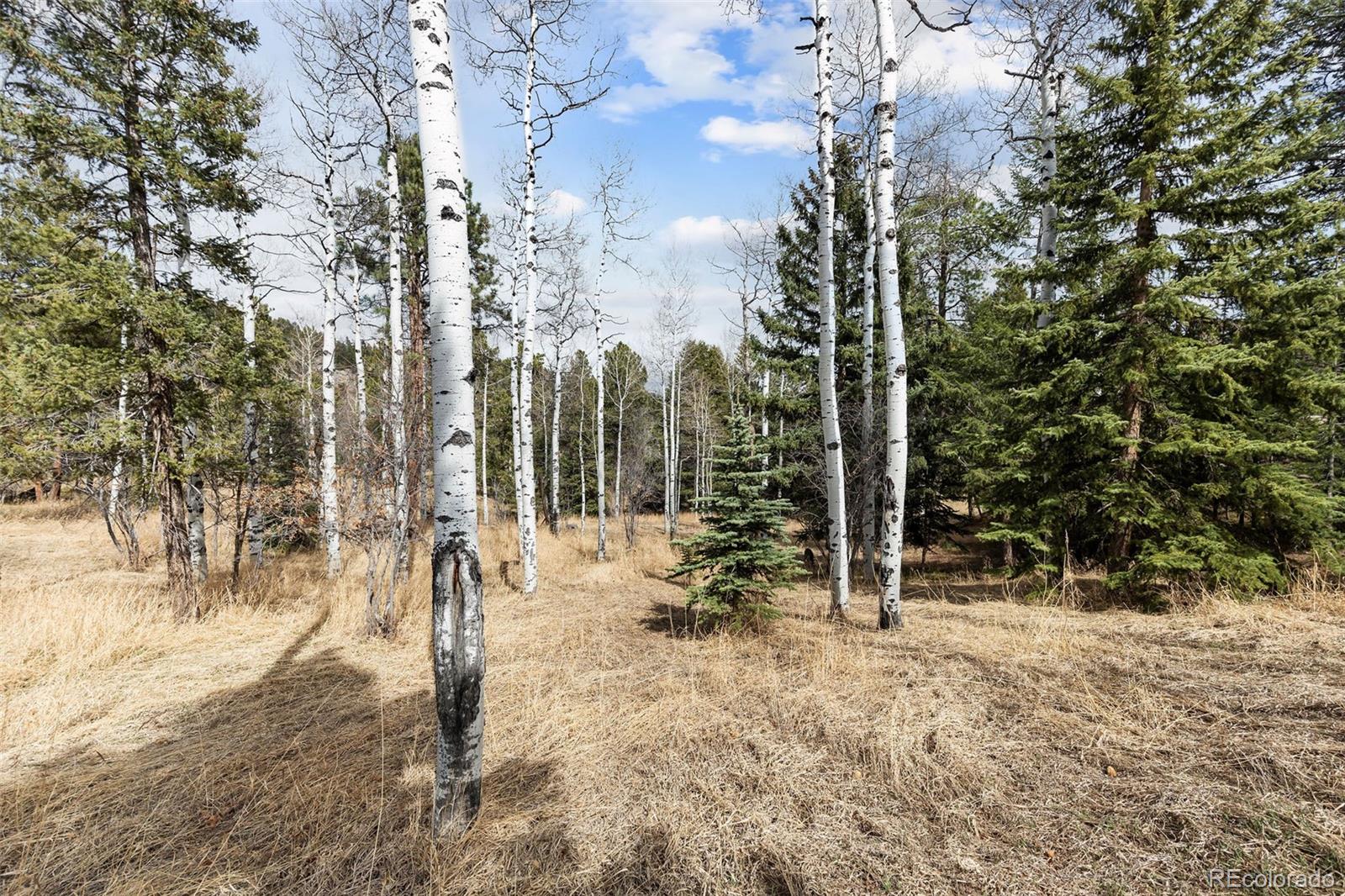 19184 Silver Ranch Road Conifer CO 80433