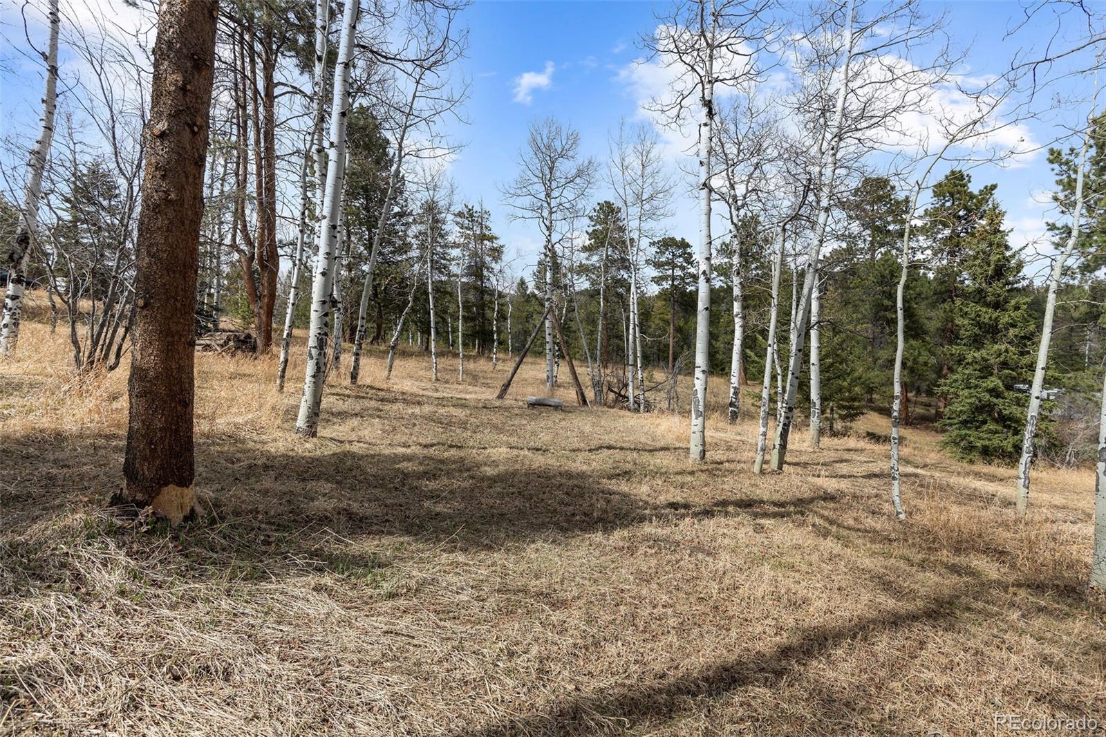 19184 Silver Ranch Road Conifer CO 80433