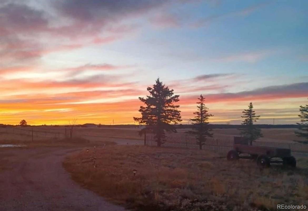 12835 Forest Green Drive Elbert CO 80106