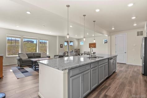 3294 Sellman Loop Castle Rock CO 80109