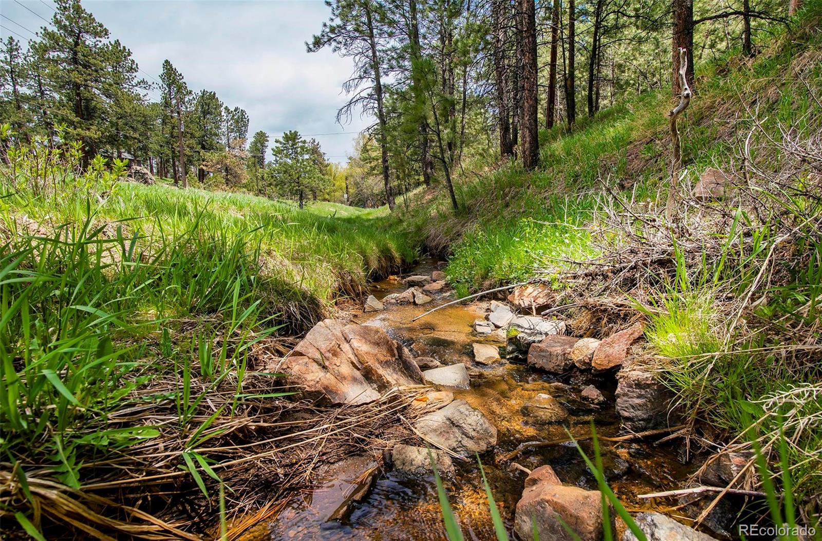 28958 Buffalo Park Road Evergreen CO 80439