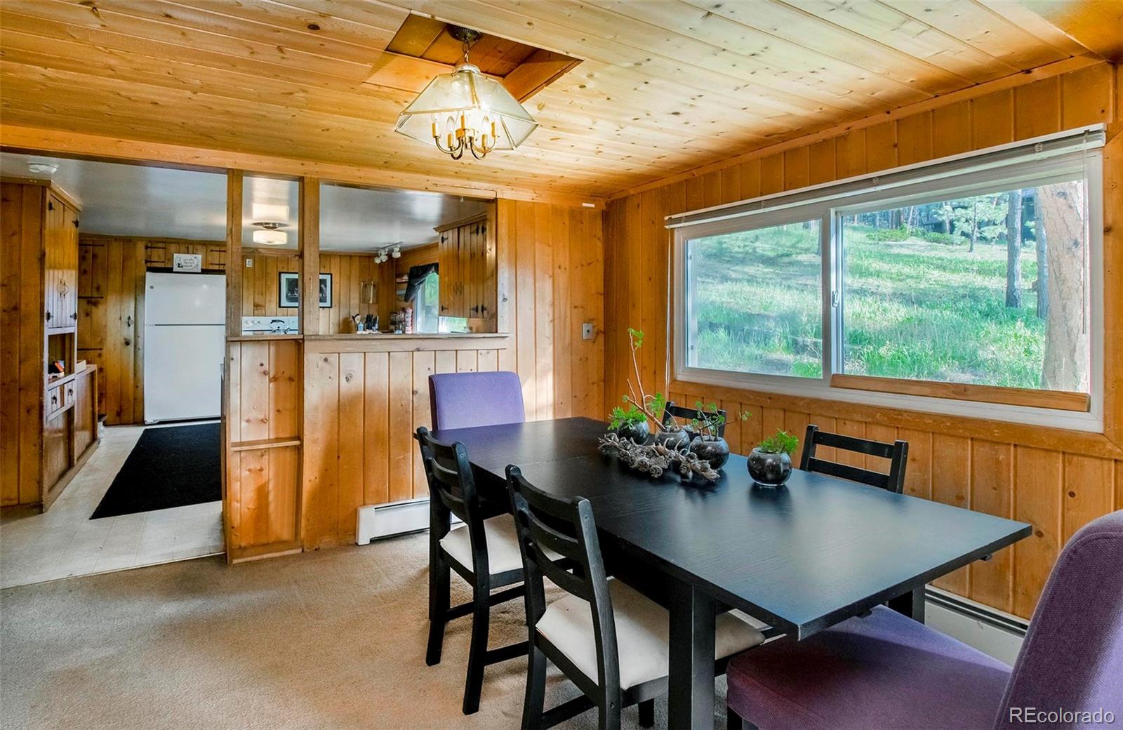 28958 Buffalo Park Road Evergreen CO 80439