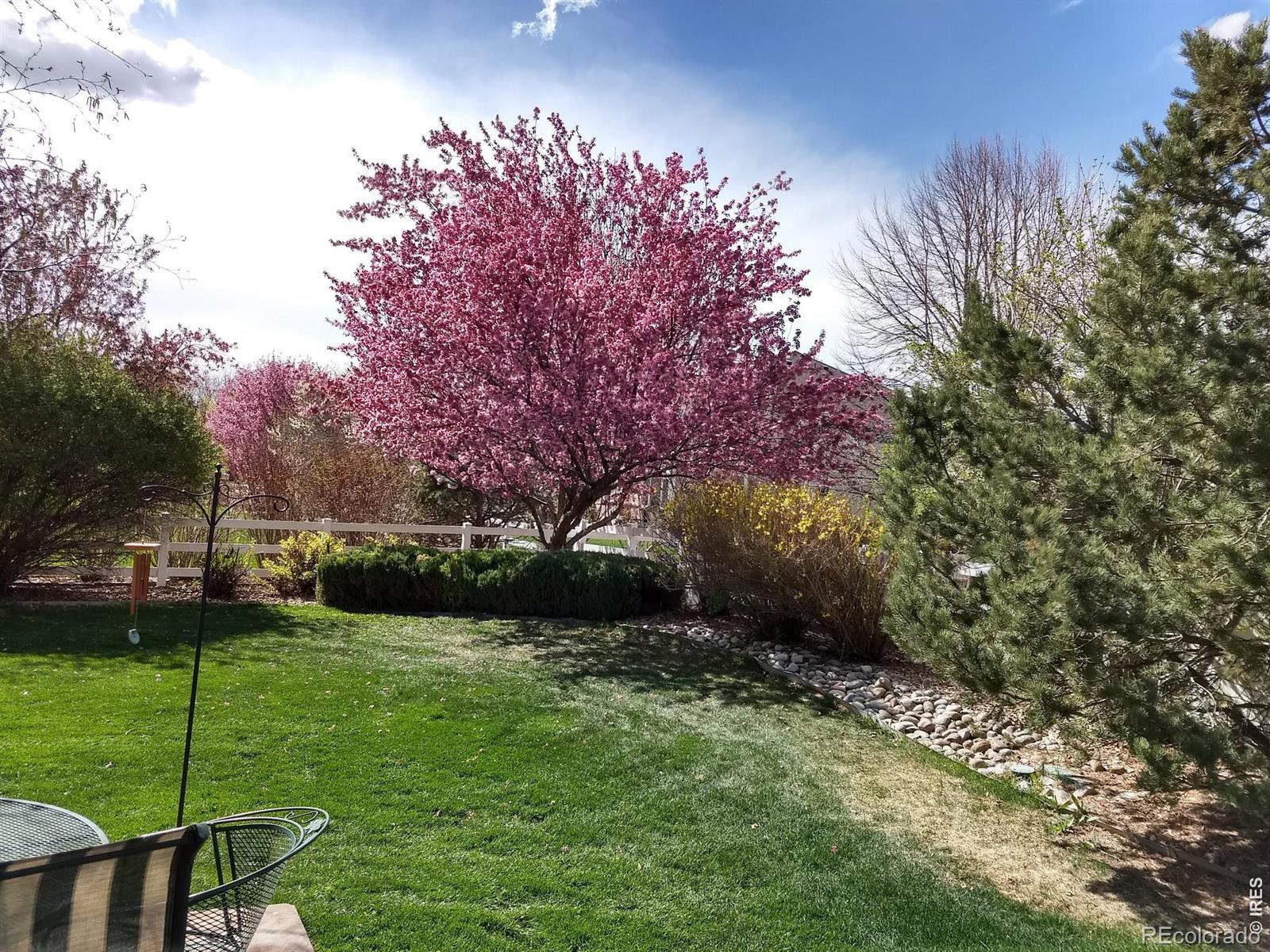 1044 Willow Creek Circle Longmont CO 80503