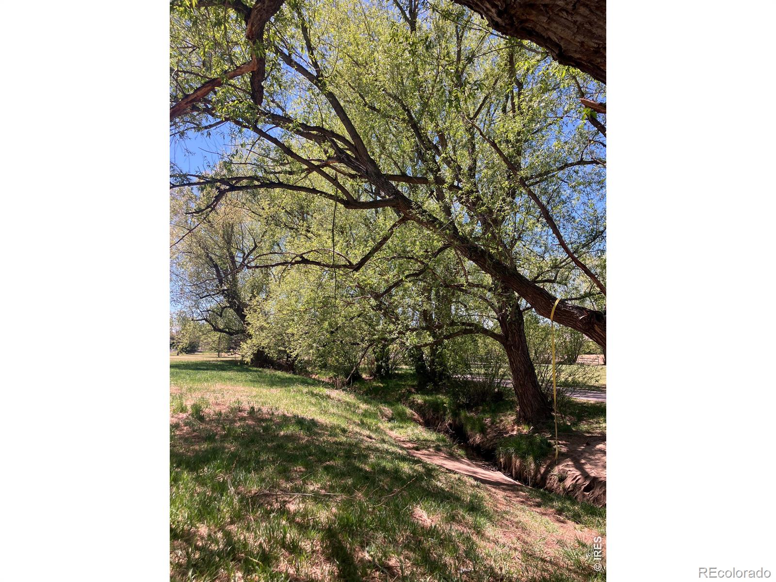 1044 Willow Creek Circle Longmont CO 80503