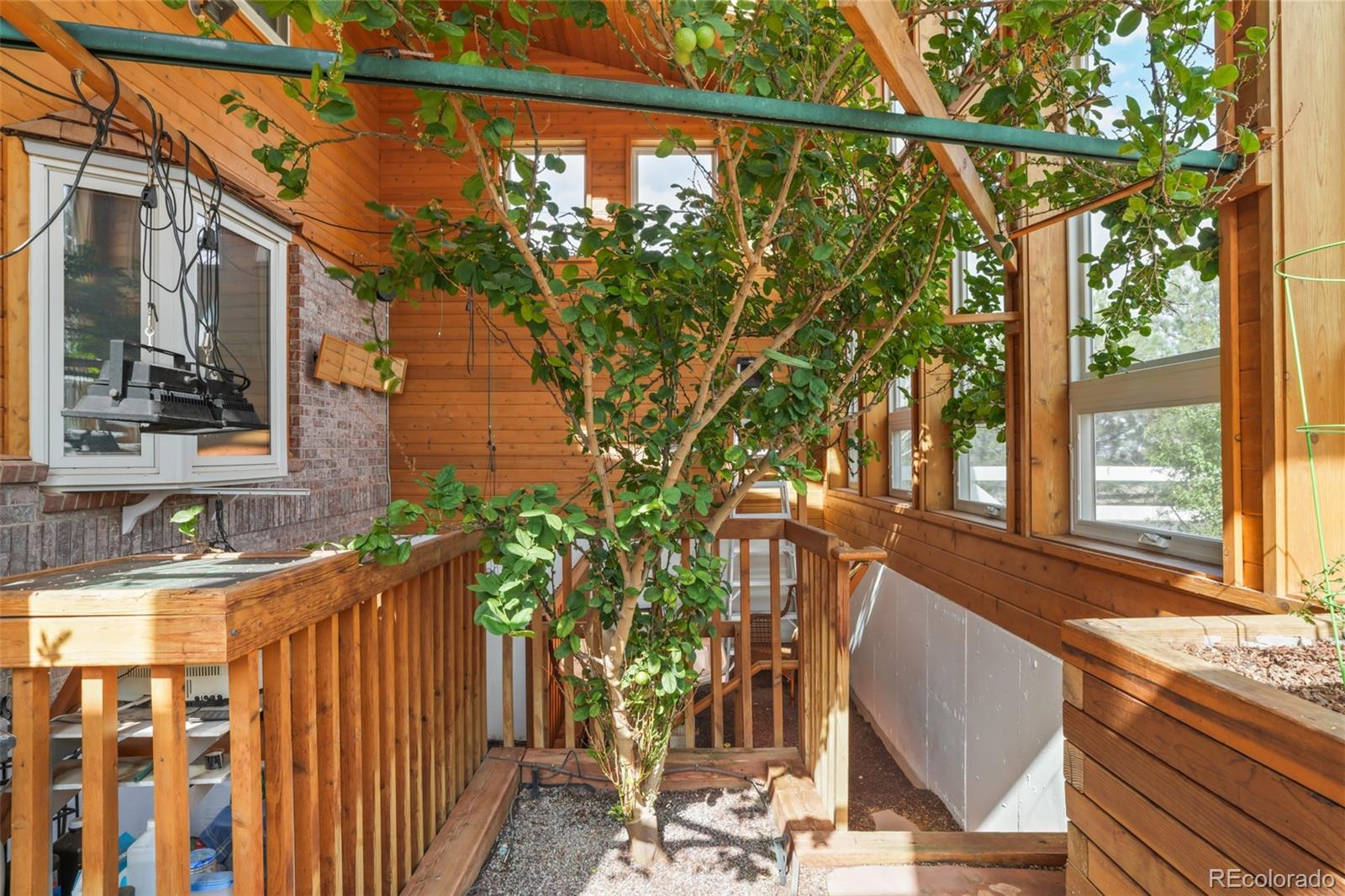 14871 Mariposa Court Westminster CO 80023
