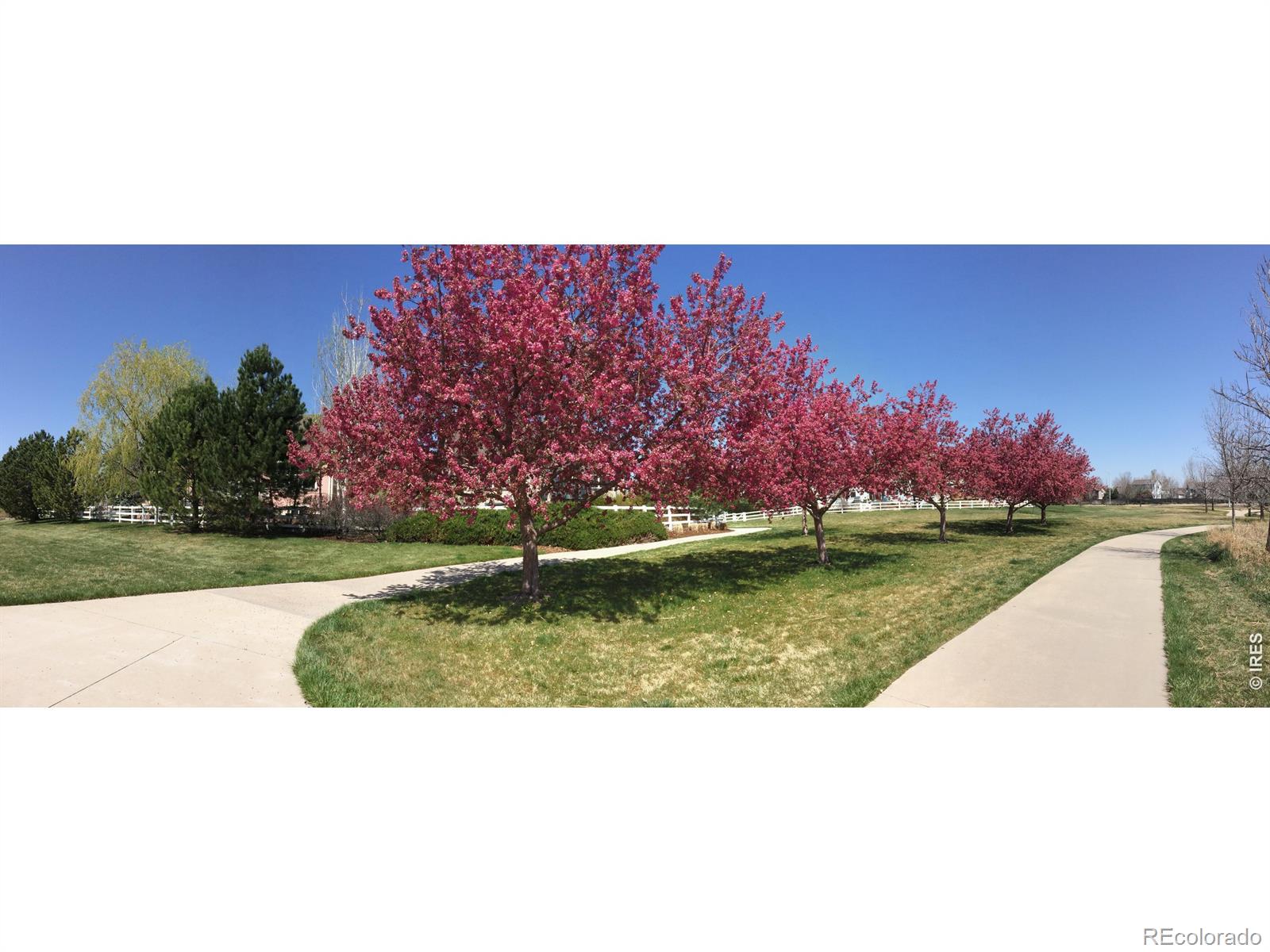 1920 Spruce Avenue Longmont CO 80501