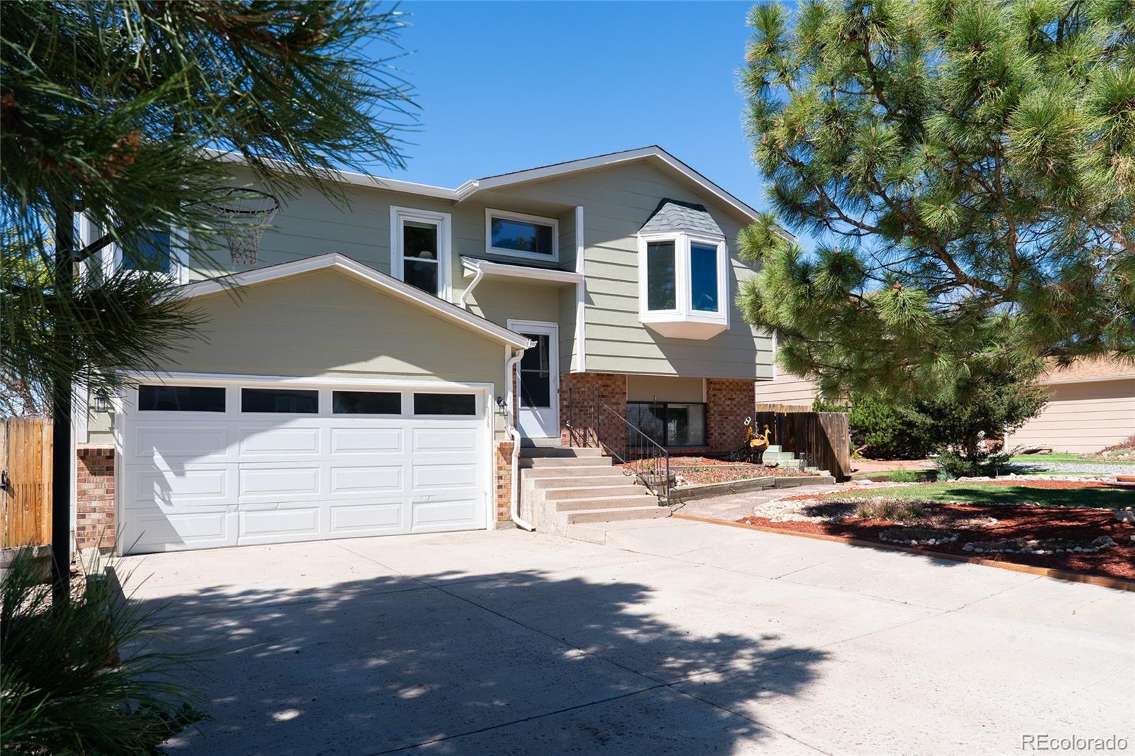 981 Oakwood Drive Castle Rock CO 80104
